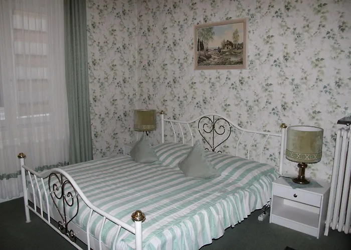 Hotel Hotel-fink *