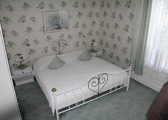 Hotel Hotel-fink *